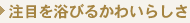 �`�F�X�g�E�^���X