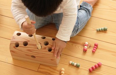 2023年大人気の知育･木育玩具”ひっつきむし”
