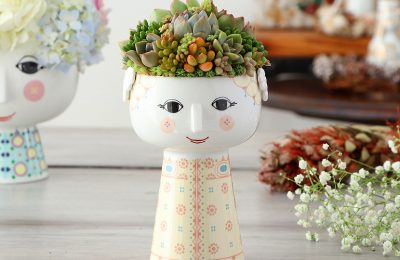 多肉植物を使う寄せ植えの作り方<br>こんもりオシャレに見せるコツ