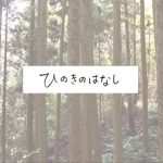 【ひのきのはなし】ひのき材の特性って？木ヤニ（樹液）って？お手入れ方法もご紹介