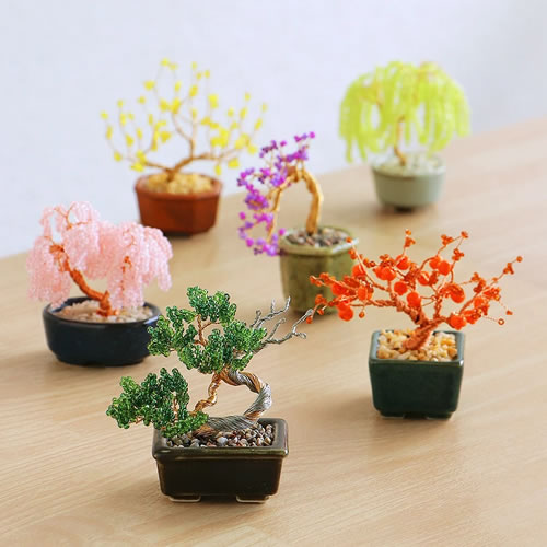 ネジッテBONSAIキット