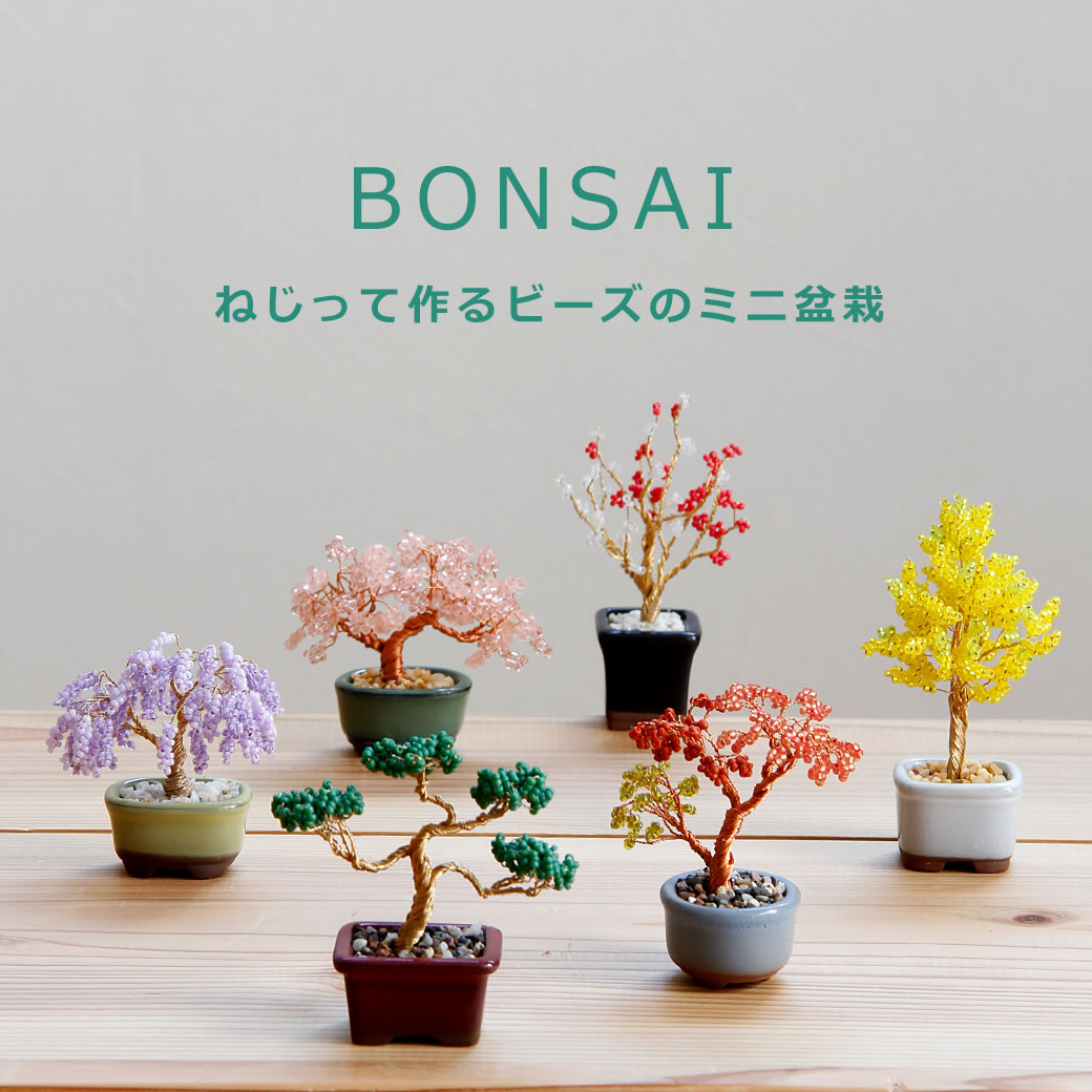 BONSAI���å�