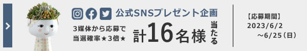 SNSڡ